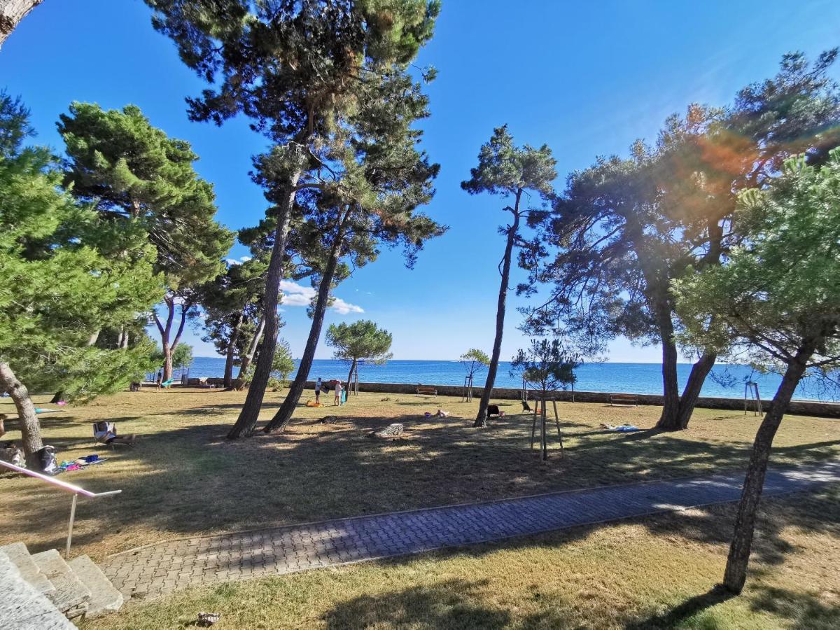 Emily Deluxe Superior 5 Star Studio Apartment, Your Piece Of Heaven With Sea & Park View Novigrad  ภายนอก รูปภาพ